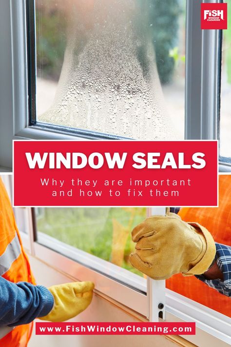 Window Seals: their importance, why failures happen, how to prevent failures, how to fix, and what to look for Leaky Basement, Getting Rid Of Gas, Diy Handyman, Clean My House, Double Window, Basement Windows, Roofing Felt, Broken Window, Window Seal