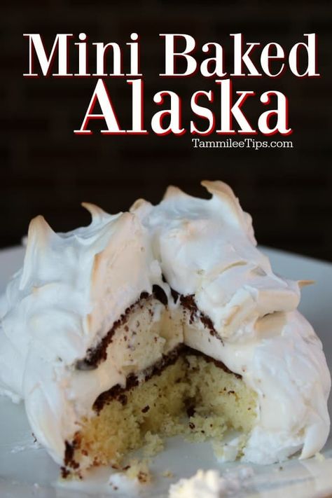 Mini Baked Alaska, Baked Alaska Recipe, Halogen Oven Recipes, Alaska Food, Making Desserts, Baked Alaska, Cake Baking Recipes, Oven Recipes, Yummy Eats