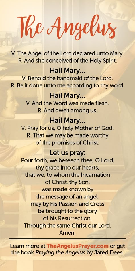 Angelus Prayer, Praying The Rosary Catholic, Catholic Saints Prayers, The Angelus, Catholic Prayers Daily, Divine Mercy Chaplet, Catholic Beliefs, Novena Prayers, Everyday Prayers