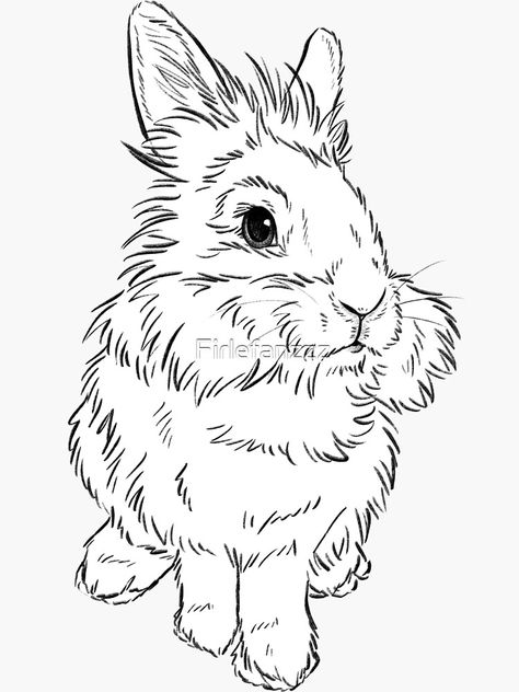 "Lionhead bunny" Sticker by Firlefanzzz | Redbubble Lionhead Rabbit Drawing, Lionhead Rabbit Tattoo, Lionhead Bunny Tattoo, Lionhead Bunny, Lionhead Rabbit, Bunny Tattoo, Rabbit Breeds, Bunny Images, Rabbit Drawing