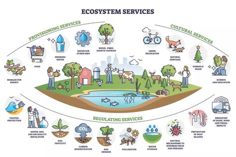 Eco Infographic, Nature Benefits, Ecosystem Services, Northumbria University, Biodiversity Conservation, Economic Analysis, Natural Ecosystem, Economic Systems, Resource Management