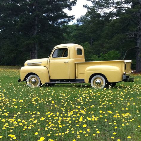 1948 Ford F1. I love these old trucks. So simple and pure  round and smooth and heavy metal ...                                                                                                                                                                                 More 1948 Ford Pickup, Yellow Truck, Old Vintage Cars, Vintage Pickup Trucks, Auto Retro, Old Pickup, Old Pickup Trucks, Classic Pickup Trucks, Cars Vintage