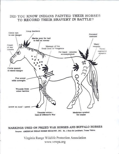 Intéressant, la signification des symboles indiens peints sur les chevaux Horse Markings, Native American Horses, Indian Horses, Native American Symbols, Horse Costumes, American Symbols, Native American Peoples, Painted Pony, Horse Quotes