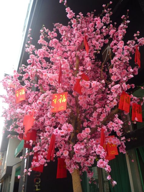 Candid Hong Kong – Cherry blossoms at Chinese New Year Chinese New Year Tree, Chinese Party Ideas, Red And Gold Decorations, Chinese Spa, Chinese Reference, Japanese Theme Parties, Cny 2024, Chinese New Year Decor, Chinese New Year Flower