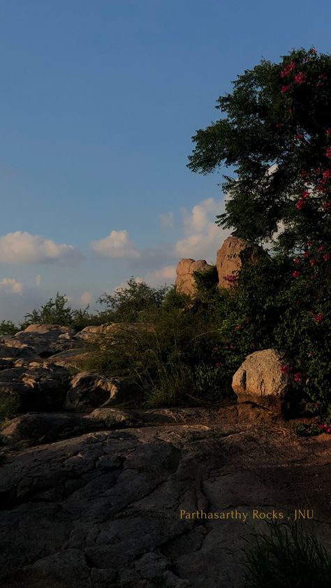 JNU Jnu Delhi, My Dream Home, Geography, Vision Board, Country Roads, Collage, Water, Pins, Quick Saves