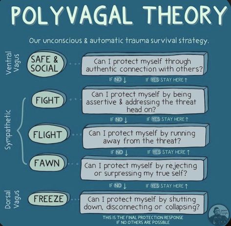 Polyvagal Theory, Counseling Techniques, Parasympathetic Nervous System, Mental Health Therapy, Mental Health Counseling, Therapy Counseling, Counseling Resources, Mental Health Resources, Therapy Worksheets