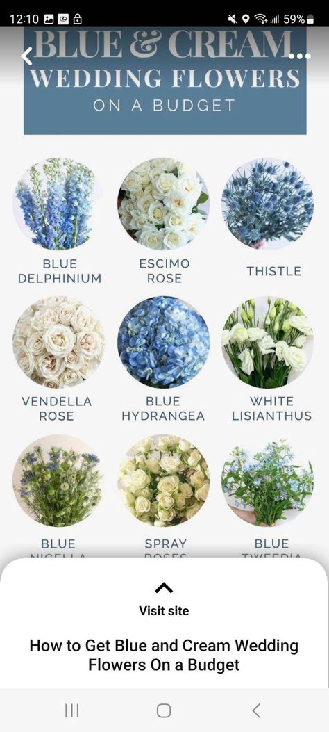 Chinoiserie Wedding, Bridal Shower Inspo, Something Blue Bridal, Blue Bridal Shower, Light Blue Wedding, Blue Wedding Flowers, Blue Themed Wedding, Cream Wedding, Dusty Blue Weddings