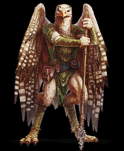 Bird People, Dark Sun, Dnd Races, Fantasy Races, Dungeons And Dragons Characters, Dnd Characters, Character Portraits, Mythical Creatures, Fantasy Creatures