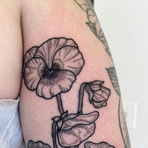 ♥ ALLIE MOON ♥ on Instagram: "pansys last week for clare 🌸 im in europe for a month, so please send me all the healed photos you have of my tattoos in good lighting! :) #pansytattoo #pansy #floraltattoo #flowertattoo #minneapolistattooartist #paristattoo #paris #queertattooartist #blackworktattoo #tattoosnob" Pansy Tattoo Design, Pansy Shoulder Tattoo, Pansie Tattoo Black And White, Pansy Flower Tattoo, Pansy Tattoo Black And White, Moon Flower Tattoo, Pansy Line Art, Violet Flower Tattoo, Minneapolis Tattoo