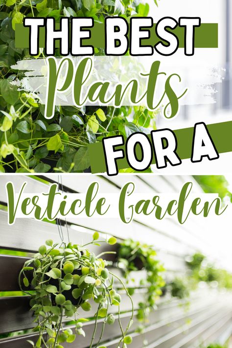 vertical garden Small Vertical Garden Ideas, Vertical Garden Plants Outdoor, Porch Plant Wall, Plants For Vertical Garden, Vertical Plant Wall Outdoor, Outdoor Wall Herb Garden Ideas, Vertical Garden Wall Outdoors, Outdoor Living Wall Diy Vertical Gardens, Indoor Vertical Garden Wall