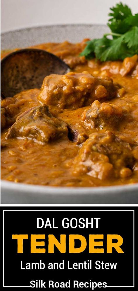 This Instant Pot lamb stew is an Indian curry of tender meat and lentils in rich gravy. Make dal gosht in a pressure cooker in only 40 minutes with this recipe! #InstantPotLambStew #DalGosht #IndianCurry #LentilRecipes Indian Stew Recipes, Lamb Pressure Cooker Recipes, Lamb Stew Instant Pot, Lamb Lentil Stew, Lamb And Lentil Stew, Daal Gosht Recipe, Lamb And Lentil Curry, Slow Cooker Lentil Dahl, Red Lentil Dahl Instant Pot