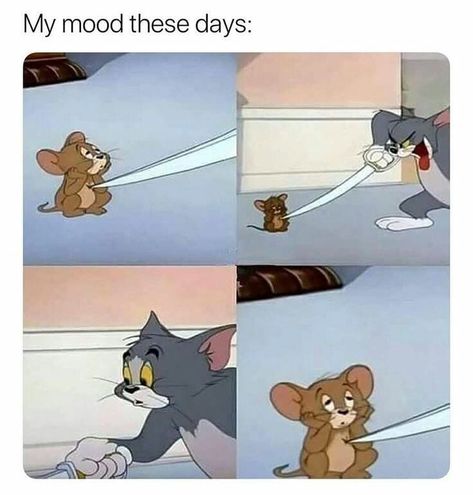 When nothing hurts you anymore 😐 . . . Follow me @thatgoofymuslim for more memes 😂 Tom And Jerry Memes, Tom Et Jerry, Image Meme, Memes Lol, Memes Hilarious, Memes Sarcastic, Hilarious Memes, Memes Humor, Charlie Chaplin