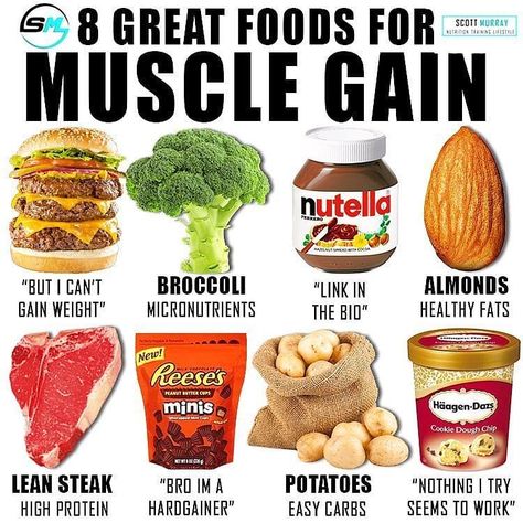 #Repost @albygonzalezfitness • • • • • 🔴Foods for muscle gains🔴 By @smurray_32  Now to the post . Protein (PRO): High PRO intakes are key for LBM growth (Lambert et al 2004) & leucine rich sources show to be superior for stimulating MPS (Norton & Wilson 2009). Therefore any of the above ANIMAL sources can supply an easy 20-30g pro/serving + 2-3g leucine which shows to be an adequate dose to stimulate MPS per meal (Moore et al 2009). While PLANT PRO won’t stimulate as much of an anabolic respon Gain Food, Food To Gain Muscle, Easy Healthy Meals, Healthy Lunch Ideas, Gym Food, Muscle Gain, Protein Rich Foods, Cardio Gym, Strong Motivation