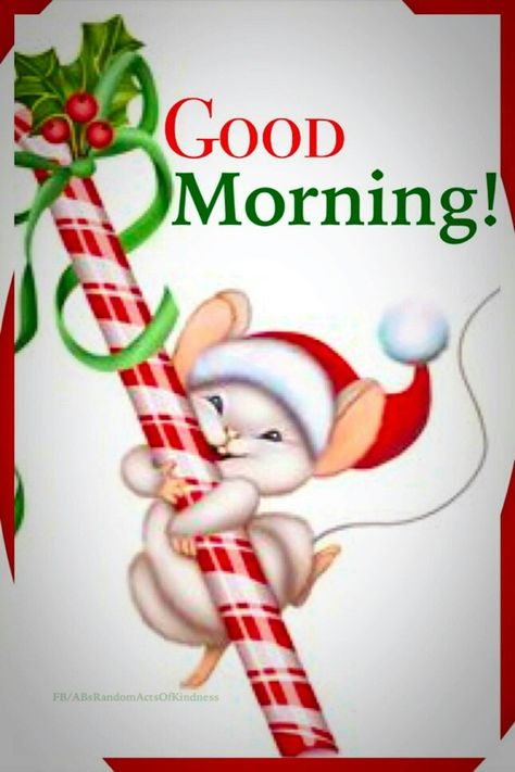 Good Morning Christmas Morning Quotes, Bon Nadal, Good Morning Christmas, Good Morning Winter, Happy Monday Quotes, Happy Day Quotes, Good Morning Happy Monday, Good Morning Funny Pictures, Good Morning Happy Sunday