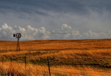 Kansas Landscape, Prairie Aesthetic, Country Images, Country Backgrounds, Flint Hills, Old Windmills, Landscape Quilts, American Icons, Water Tower