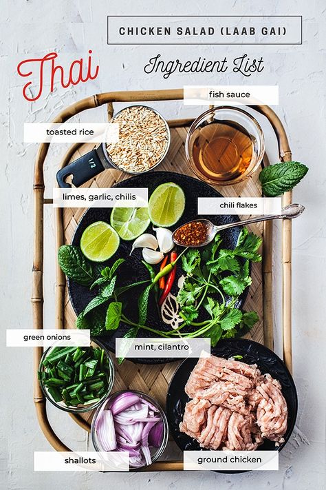 Ground Chicken Salad, Thai Ground Chicken, Laab Recipe, Scott Hill, Easy Thai Chicken, Larb Recipe, Toasted Rice, Hmong Food, Thai Chicken Salad