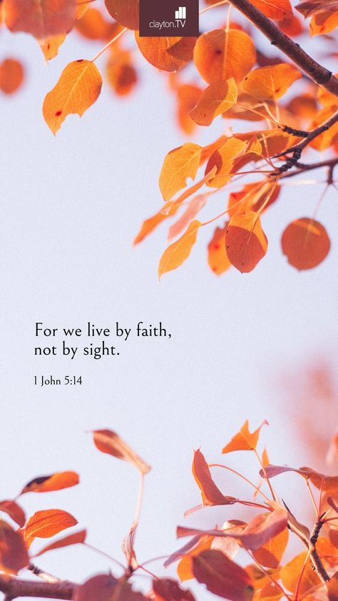 Bible Verse Autumn Background, Fall Season Bible Verse, September Christian Quotes, Fall Bible Study Aesthetic, Fall Themed Bible Verses, Autumn Bible Aesthetic, Fall Theme Bible Verses, October Bible Verses, Autumn Bible Verse Wallpaper