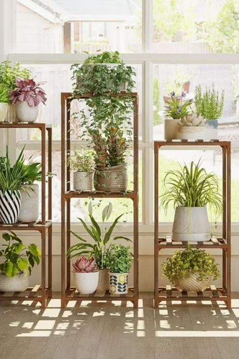 Picture from @target . Get this indoor houseplant rack to give your home a touch of nature. Clean and nice wooden houseplant rack for cheap. Can hold multiple large and small plants and is aesthetically pleasing. The perfect addittion to your home. Plant Stands Indoor, Plant Shelves Outdoor, Corner Plant Shelf, Wooden Plant Stands Indoor, Corner Plant, Support Pour Plante, Plant Stands Outdoor, Wooden Plant Stands, Outdoor Living Decor