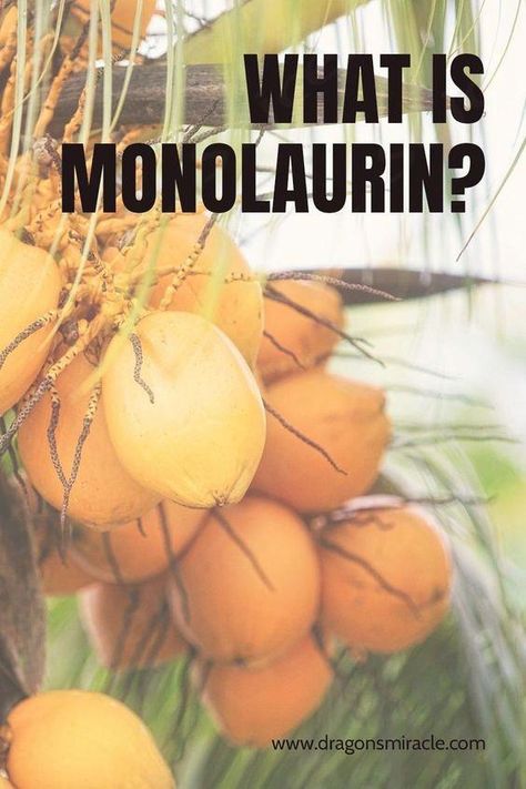 Monolaurin, a natural compound found in coconut oil, has been shown to have numerous benefits for skin health. Its antimicrobial properties make it effective in treating acne and other skin infections. Additionally, monolaurin has moisturizing properties that can improve skin hydration and reduce the appearance of fine lines and wrinkles. Incorporating monolaurin into your skincare routine can lead to healthier, more radiant skin.
 ... more Cucumber Health Benefits, Treating Acne, Chia Seeds Benefits, Coconut Health Benefits, World Health Day, Skin Care Clinic, Skin Hydration, Health Day, Health Skin Care