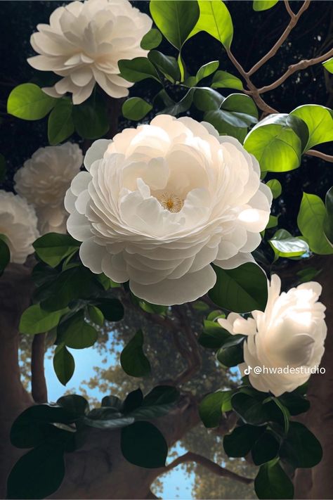 Camellia Flower Wallpaper, White Camellia Flower, Camellia Flowers, White Camellia, Camellia Flower, Nothing But Flowers, Flower Wallpaper, White Christmas, Iphone