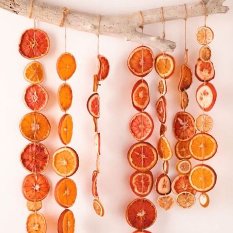 How to make dried orange slices & ideas for Thanksgiving Christmas decorations, crafts & gifts like citrus ornaments, wreath, garland, potpourri etc! - A Piece of Rainbow, fall, winter, farmhouse decor, vintage, natural decor, garden decor Dried Citrus Garland, Citrus Garland, Dried Citrus, Lilin Aroma, Săpunuri Handmade, Garland Diy, Navidad Diy, Natural Christmas, Diy Garland