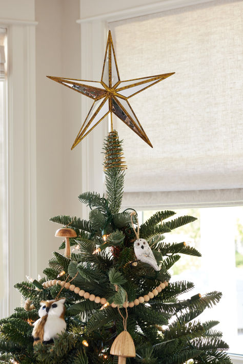 A shining star for your tree's highest bough, this Antique Gold Mirror Star Tree Topper is a merry little accent for the holidays. The festive 5-point tree topper features beautifully beveled points, a mirror-inspired finish, and a classic spiral base. #WorldMarket #NaturalWonders #TreeTopper #Christmas #ChristmasTree #TreeDecor #HolidayDecor #GoldTreeDecor Antique Gold Mirror, Star Tree, Star Tree Topper, Space Decor, Tree Tops, Shining Star, Tree Topper, Decorations Christmas, World Market