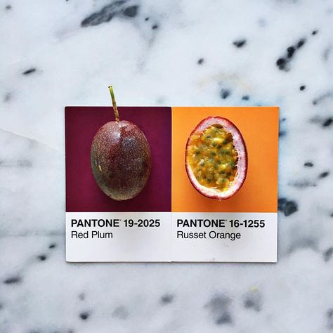 plum, red, purple, orange Pantone Swatches, Color Numbers, Tropical Food, Plum Fruit, Design Camp, Pantone Colour Palettes, Orange Interior, Fruit Photography, Color Chip