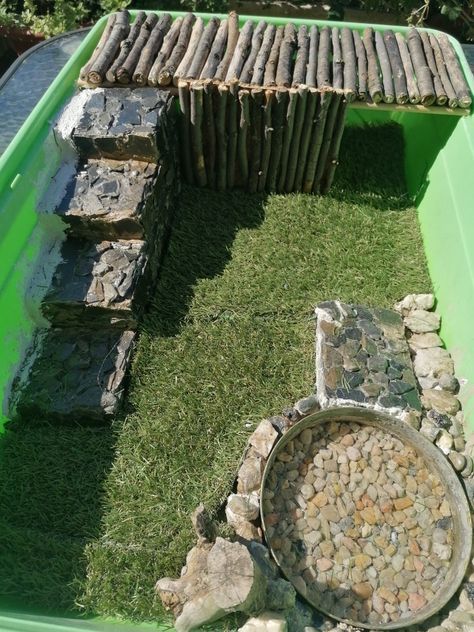 Terrario de tortugas con escaleras de piedra y piscina Turtle House, Master Oogway, Tortoise House, Ganpati Decoration Design, Turtle Tank, Cute Turtles, Turtles, Terrarium, Tortoise