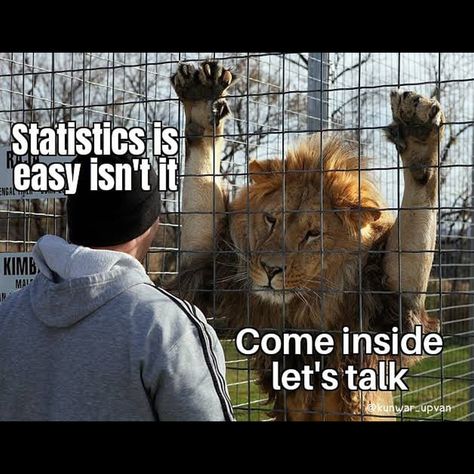 Meme Statistics Humor Meme, Statistics Memes Funny, Statistics Poster Design, Statistics Poster, Funny Statistics, Statistics Quotes, Spss Statistics, Statistics Humor, Exams Memes