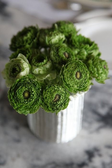 Ranunculus Flowers, Colorful Roses, Green Collection, Cactus Y Suculentas, Simple Green, Deco Floral, Ranunculus, Beautiful Blooms, Color Of The Year