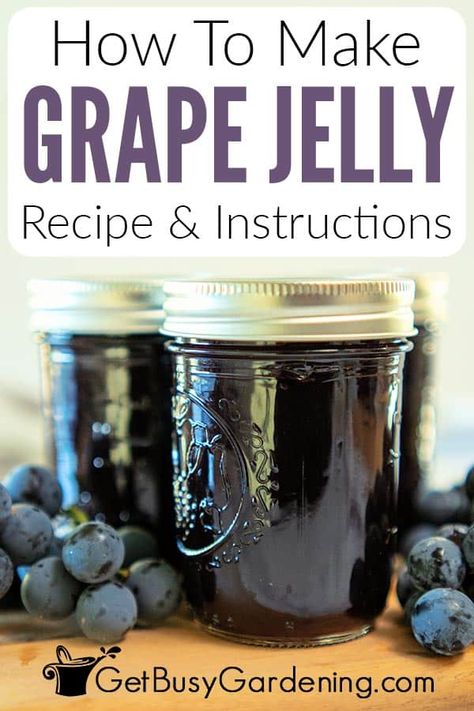 Make a delicious homemade grape jelly with this recipe that everyone will rave about. All you need are 3 simple ingredients for this one! This smooth and sweet grape jelly serves as the perfect spread for toast, breakfast items, and even desserts. All you need are red grapes (homegrown or store-bought concords are the best), and a few cooking materials. This is truly a recipe all ages cooking levels will enjoy. Follow along as I teach you how to make your new favorite grape jelly. Grape Jelly Recipe, Homemade Grape Jelly, Concord Grape Jelly, Diy Jelly, How To Make Jelly, Grape Jam, Home Canning Recipes, Apple Jelly, Jam Recipes Homemade