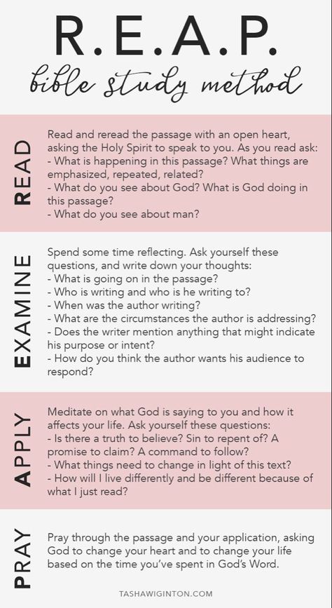 Free Printable Devotions For Women, Soar Bible Study Method, Free Bible Study Plans For Women, Jen Wilkin Bible Study Method, How To Create Your Own Bible Study Notebook, Bible Study Notes Template Free Printable, James Method Verse Mapping Template Free, Bible Study Asthetic Picture, Woman’s Bible Study