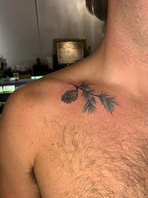 Collar bone tattoo in color of pine cone and fir tree branch Tattoo In Color, Small Inspirational Tattoos, Pine Tattoo, Small Colorful Tattoos, Nature Tattoo Sleeve, Fern Tattoo, Bone Tattoo, Torso Tattoos, Elephant Tattoo Design