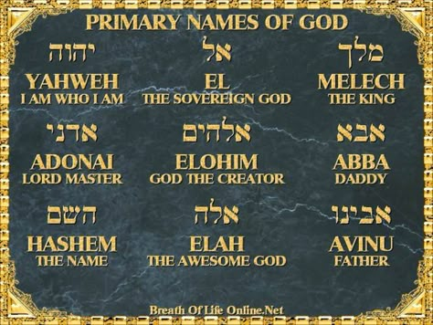 Hebrew Language Words, The Names Of God, Hebrew Lessons, Biblical Hebrew, Hebrew Names, Hebrew Language, Learn Hebrew, Bible History, Bible Study Notebook