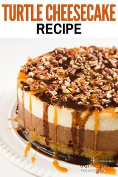 New York Cheesecake With Shortbread Crust, Bakery Style Cheesecake, Turtle Pecan Cheesecake, Chocolate Caramel Pecan Cheesecake, Chocolate Pecan Cheesecake, Turtle Deserts, Cheesecake Recipes Turtle, Turtle Cheesecake Recipe Easy, Gourmet Cheesecake Recipes