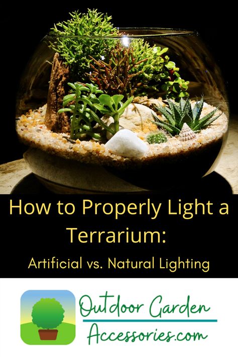 Outdoor Grow Lights, Terrarium Light, Light Bulb Terrarium, Terrarium Scene, Terrarium Jar, Terrarium Ideas, Glass Terrarium, Jar Lights, Plant Lighting