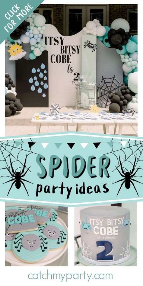 Spider Birthday Party Ideas, Tarantula Birthday Party, Spider Themed Birthday Party, Spider Party Decorations, Spider Party Ideas, Spider Birthday Decorations, Spider Birthday Party, Spider Party, Spider Themed Party