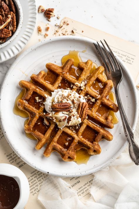 Vegan Pumpkin Waffles Recipe, Best Vegan Waffles, Banana Pumpkin Waffles, Vegan Pumpkin Waffles, Best Vegan Lasagna Recipe, Waffles Vegan, Pumpkin Waffles Recipe, Vegan Lasagna Recipe, Baked Pasta Dishes