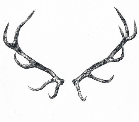 antlers by tiny tøt, via Flickr Elk Antler Tattoo Men, Horn Illustration, Antler Tattoos, Elk Tattoo, Antler Tattoo, Elk Horn, Deer Horns, Black Deer, Tattoo Inspiration Men