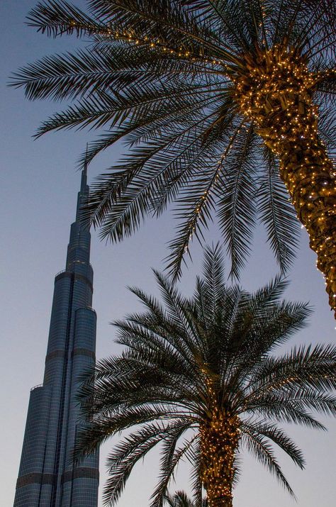 Chris Taylor, Dubai Aesthetic, Dubai Life, City Wallpaper, Dream City, Night Aesthetic, City Aesthetic, Pretty Places, Sky Aesthetic