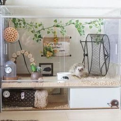 Beautiful house for my hedgie Hedgehog Pet Cage, Kandang Hamster, Hamster Diy Cage, Hedgehog Care, Hedgehog Cage, Hamster Stuff, Hamster Diy, Hamster Life, Pygmy Hedgehog