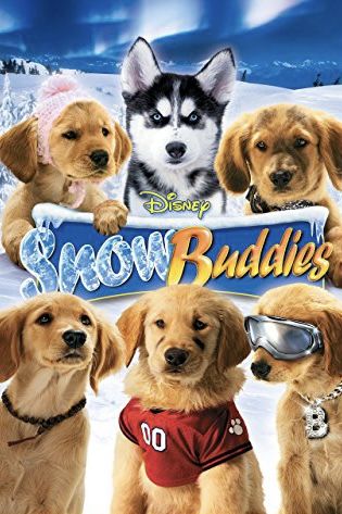 Air Buddies Movies, Spooky Buddies, Buddy Movie, Snow Buddies, Abigail Breslin, Dog Movies, Ashley Judd, Photos With Dog, Owen Wilson