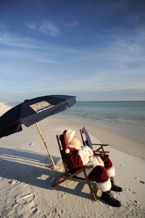 Aussie Christmas, Florida Christmas, Beachy Christmas, Beach Santa, Tropical Christmas, Beach Christmas, Beach Please, Coastal Christmas, Beach Living