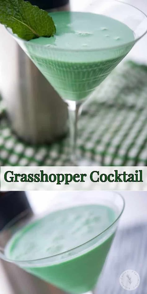 St Patrick Day Recipes, Grasshopper Cocktail, Easy Kid Friendly Dinners, 5 Oclock, Bunco Night, St Patrick's Day Food, Green Ghost, St Patrick's Day Recipes, Special Drinks