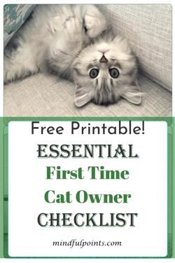 First Time Cat Owner Essential Checklist - Health & Wellness, Personal Development, Inspiration Personal To Do List, Kitten Checklist, Cat Checklist, New Cat Owner, Cat Owner Tips, Kittens Care, Raising Kittens, Aesthetic Cat Drawing, Getting A Cat