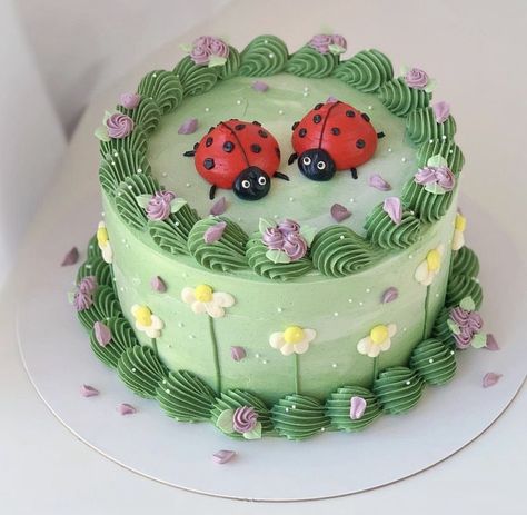 Bug Smash Cake, Bug Cake Ideas, Bug Dessert, Ladybug Cake Ideas, Hbd Ideas, Bug Birthday Cakes, Ladybird Cake, Pokemon Birthday Cake, Ladybug Cakes