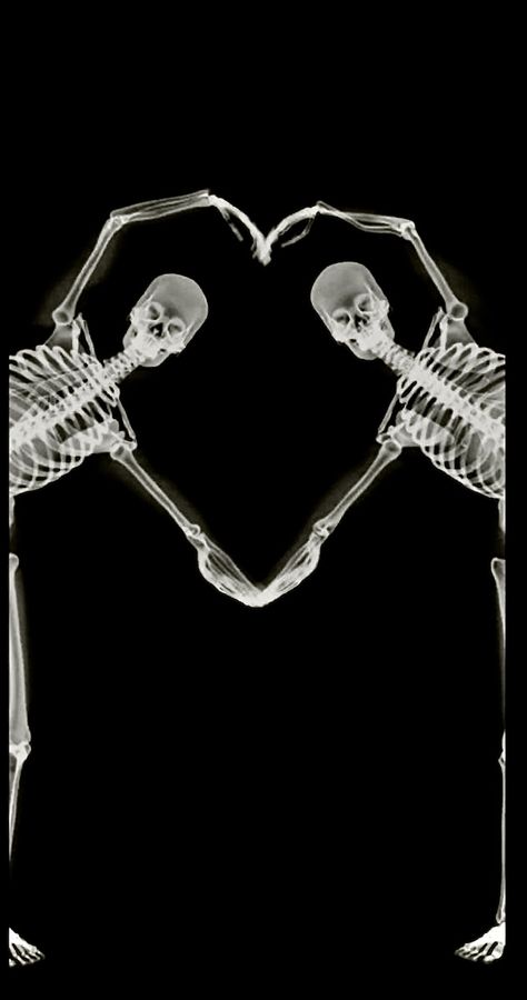 love is for everyone Skeleton Love Wallpaper, Wallpaper Sharpen, Skeleton Wallpaper, Grunge Wallpaper, Skeleton Love, Laughter Quotes, Intelligence Quotes, Wallpaper Love, Literary Quotes