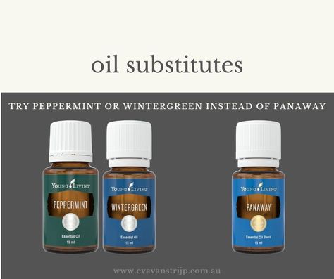 Essential Oil Substitutes - Eva Van Strijp Young Living Panaway, Panaway Essential Oil, Young Living Peppermint, Oil Substitute, Wintergreen Essential Oil, Benefits Of Essential Oils, Essential Oil Education, Oil Recipes, Essential Oil Blends