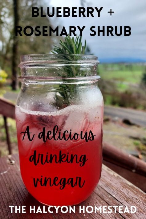 Party like it's 1775 with this sweet and tangy colonial shrub drink using frozen blueberries and fresh rosemary from the garden. Using Frozen Blueberries, Blueberry Shrub, Shrub Drink, Shrub Recipe, Kombucha Flavors, Homemade Kombucha, Drinking Vinegar, Homemade Liquor, Fermentation Recipes