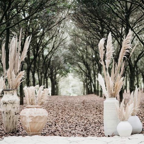 Pampas Grass Wedding, Karen Willis Holmes, Grass Wedding, Photos Booth, Ceremony Decorations, Pampas Grass, Wedding Florals, Real Brides, How To Decorate